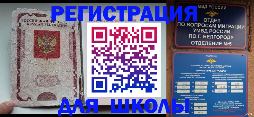 прописка гарантия в Владимире